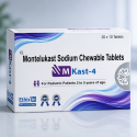 M Kast 4
