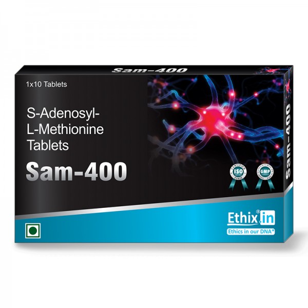 SAM 400